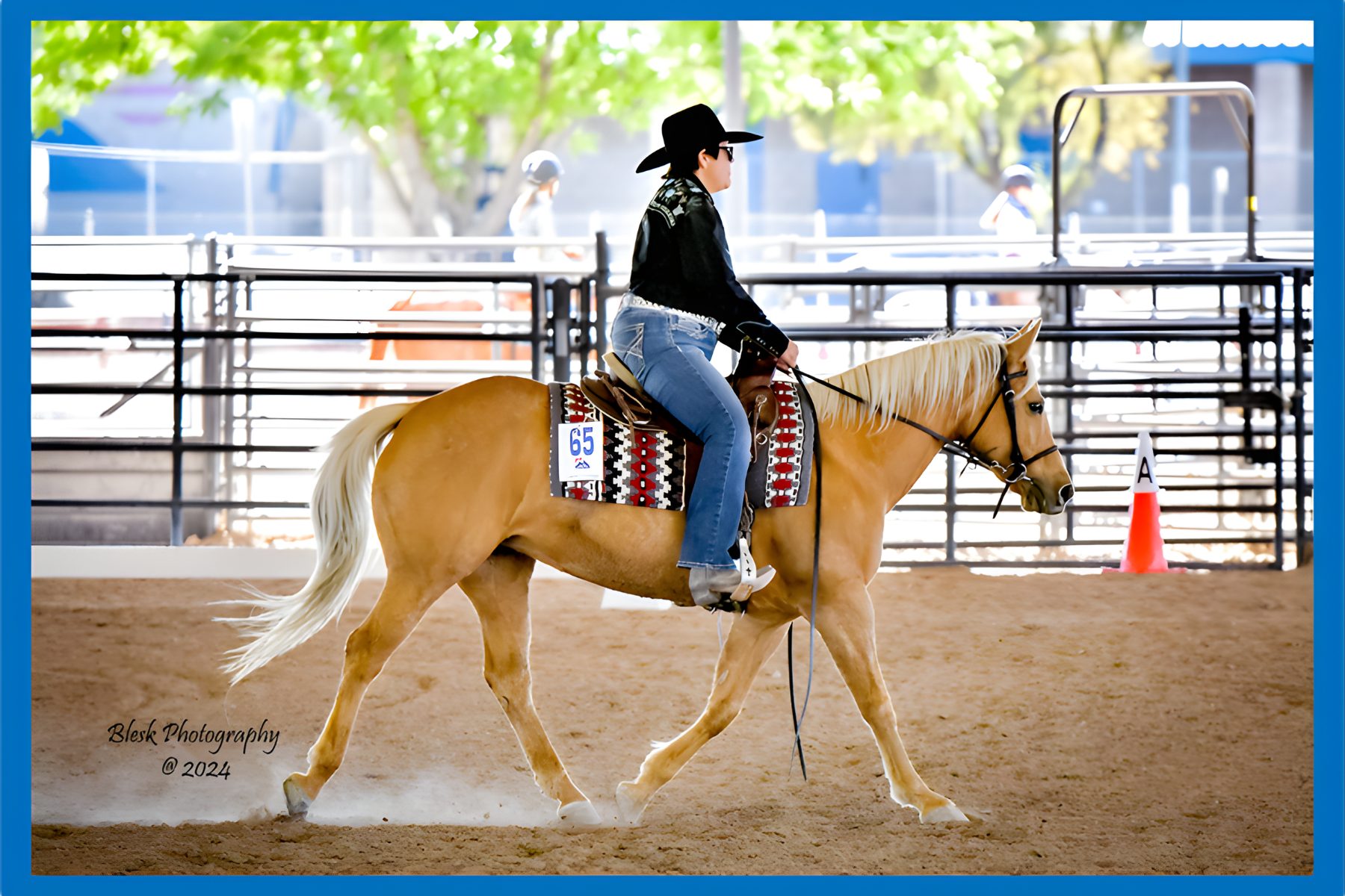 USF-DOC_and ELLIE-PNG (1)